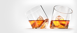 Rocker Whiskey Glasses
